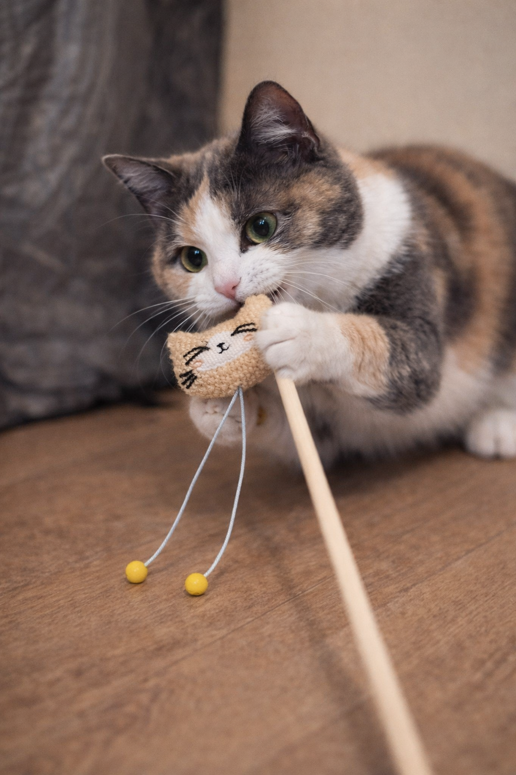 Canne pour chat MasticDog