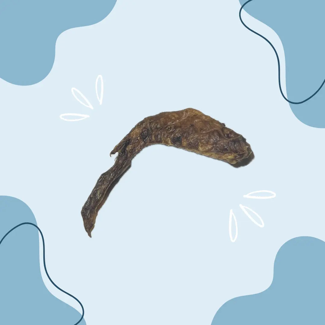 Aile de canard - MasticDog