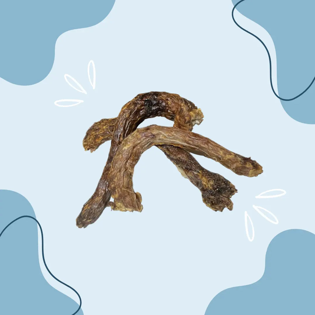 Cou de dinde XL - MasticDog