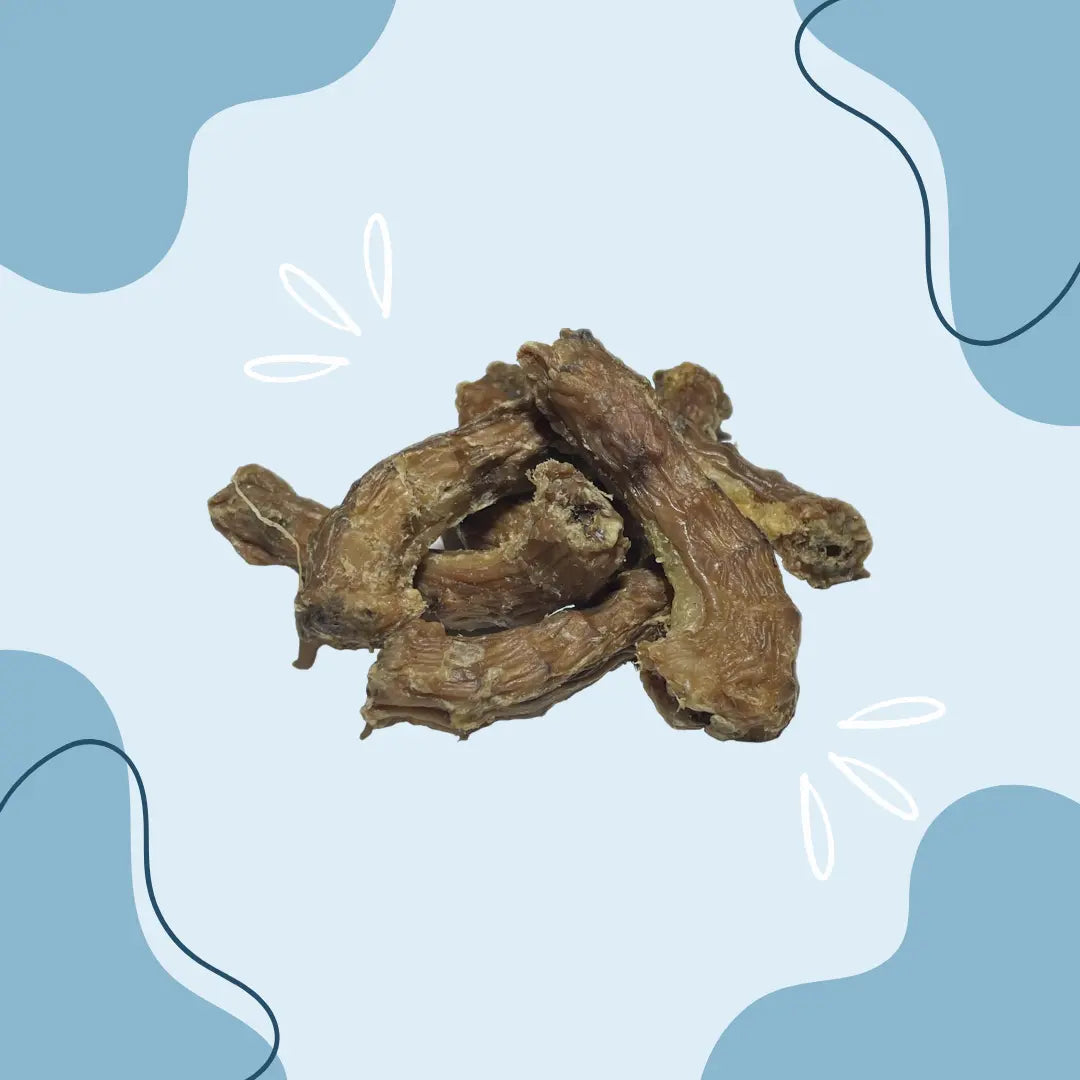 Cou de Poulet - MasticDog