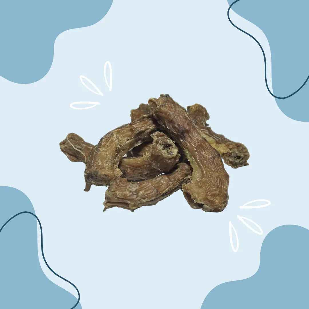 Cou de Poulet