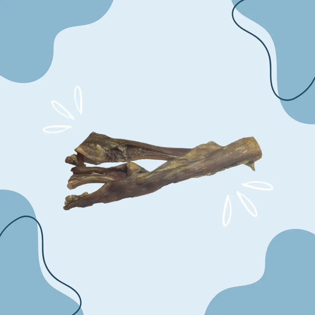 Cuir chevelu de boeuf 30 cm - MasticDog