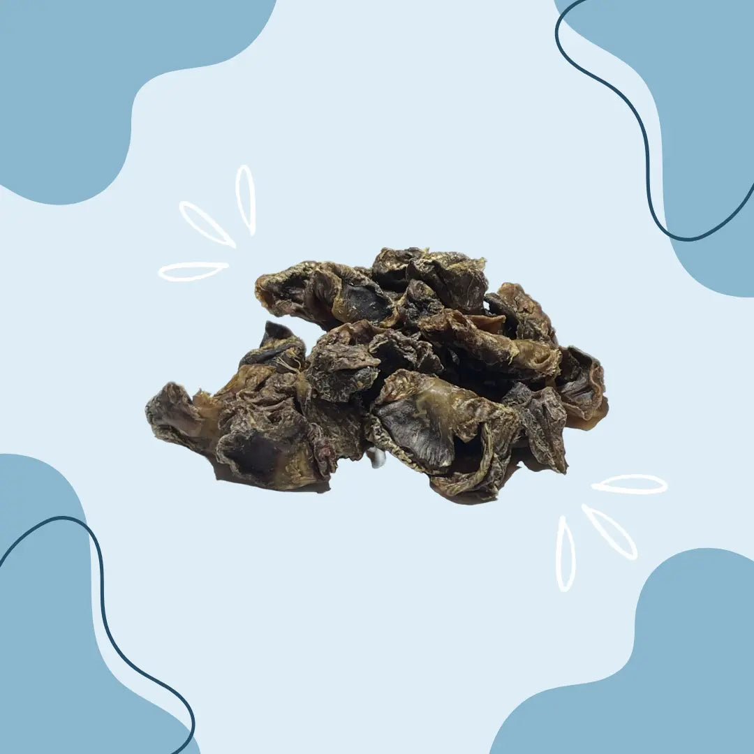 Estomac de poulet - MasticDog