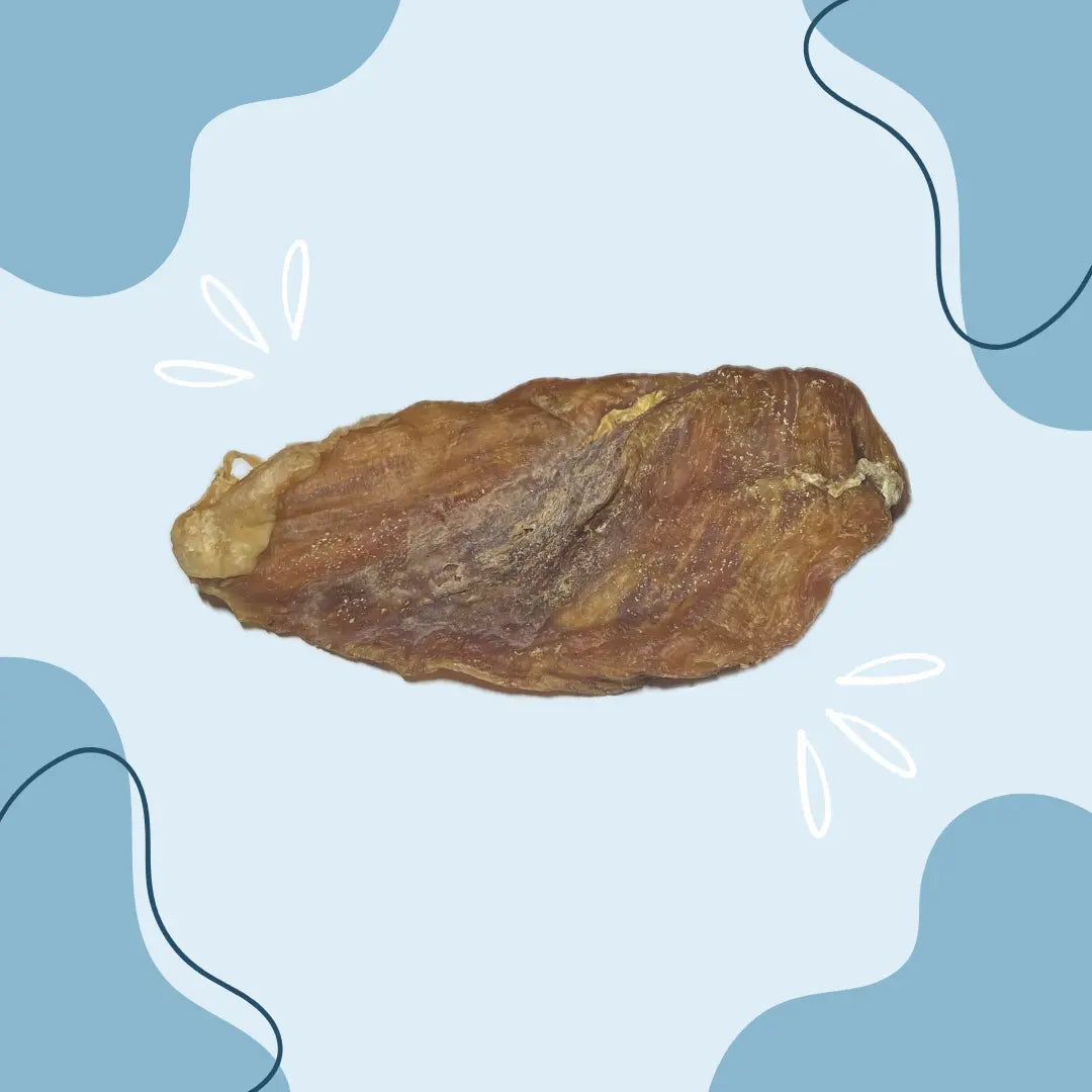 Filet de poulet - MasticDog