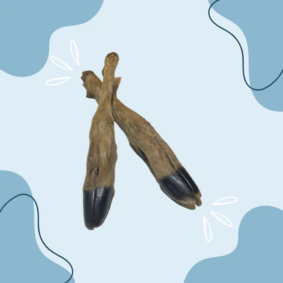 Jambe de cerf 30cm - MasticDog