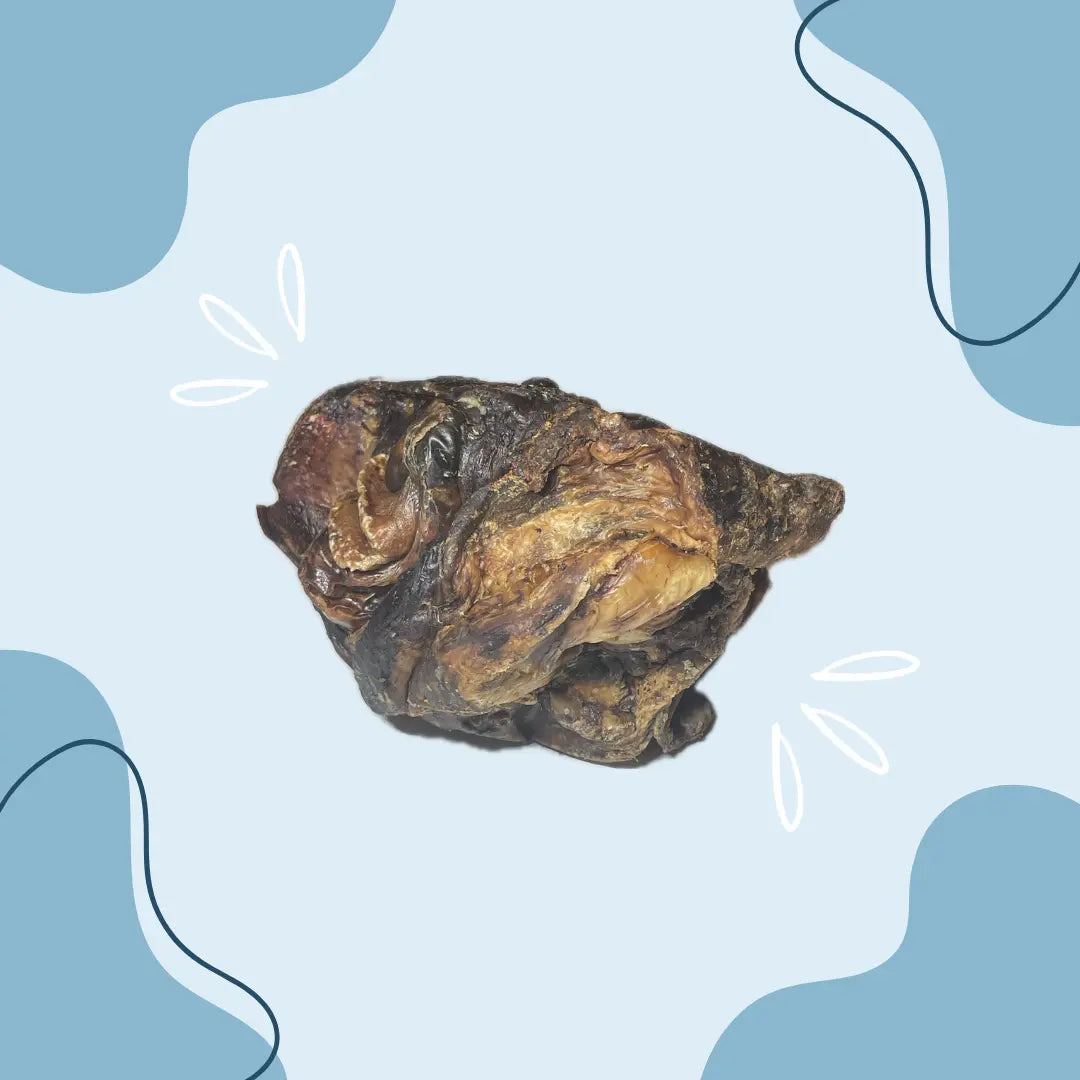 Larynx de bœuf - MasticDog