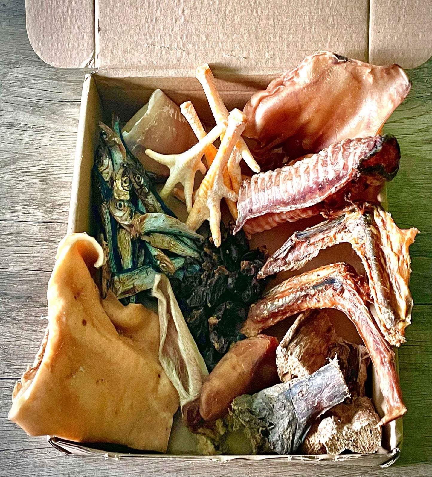 MasticBox chiot - Dès 6 mois