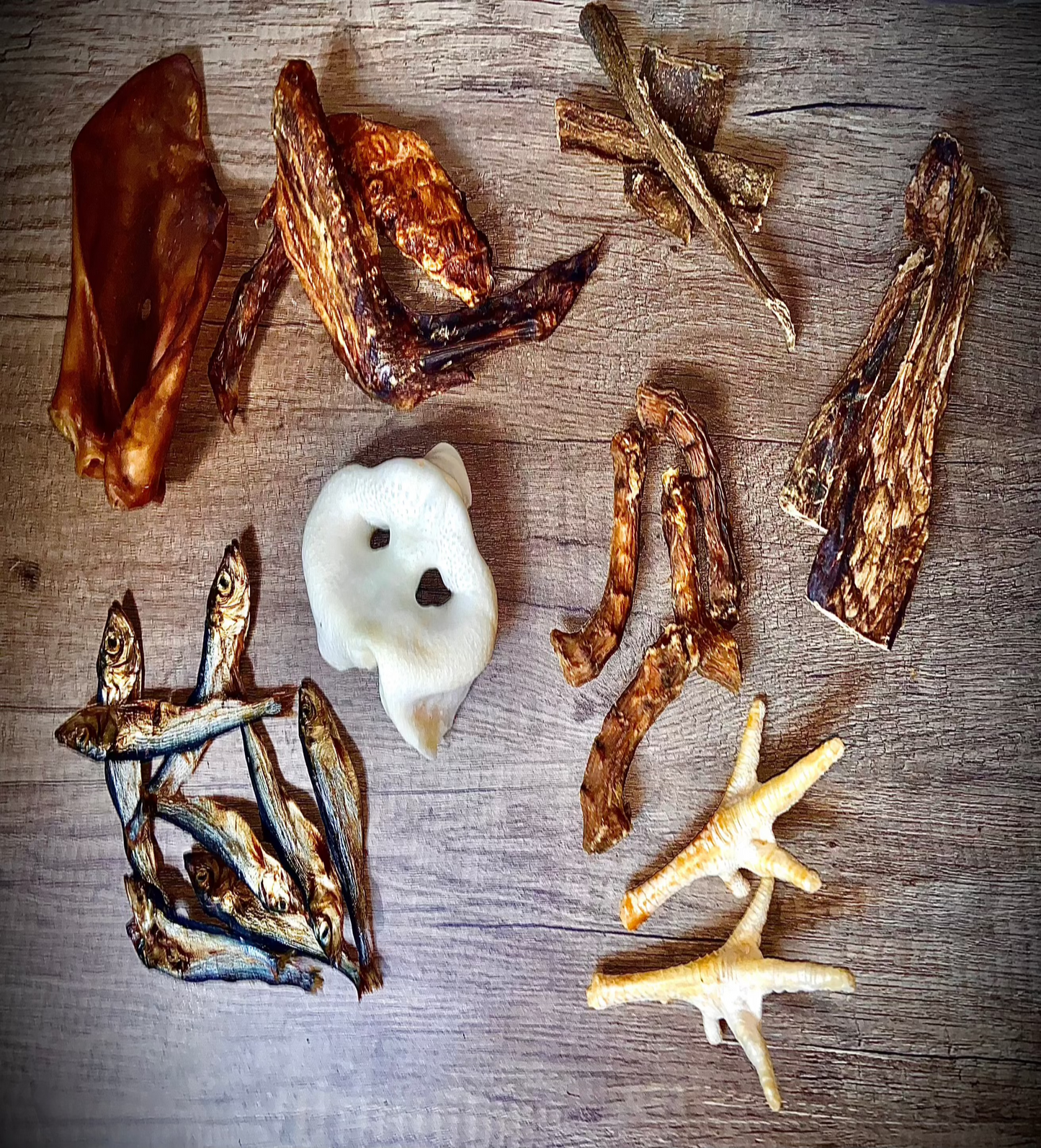 Masticbox Découverte - MasticDog