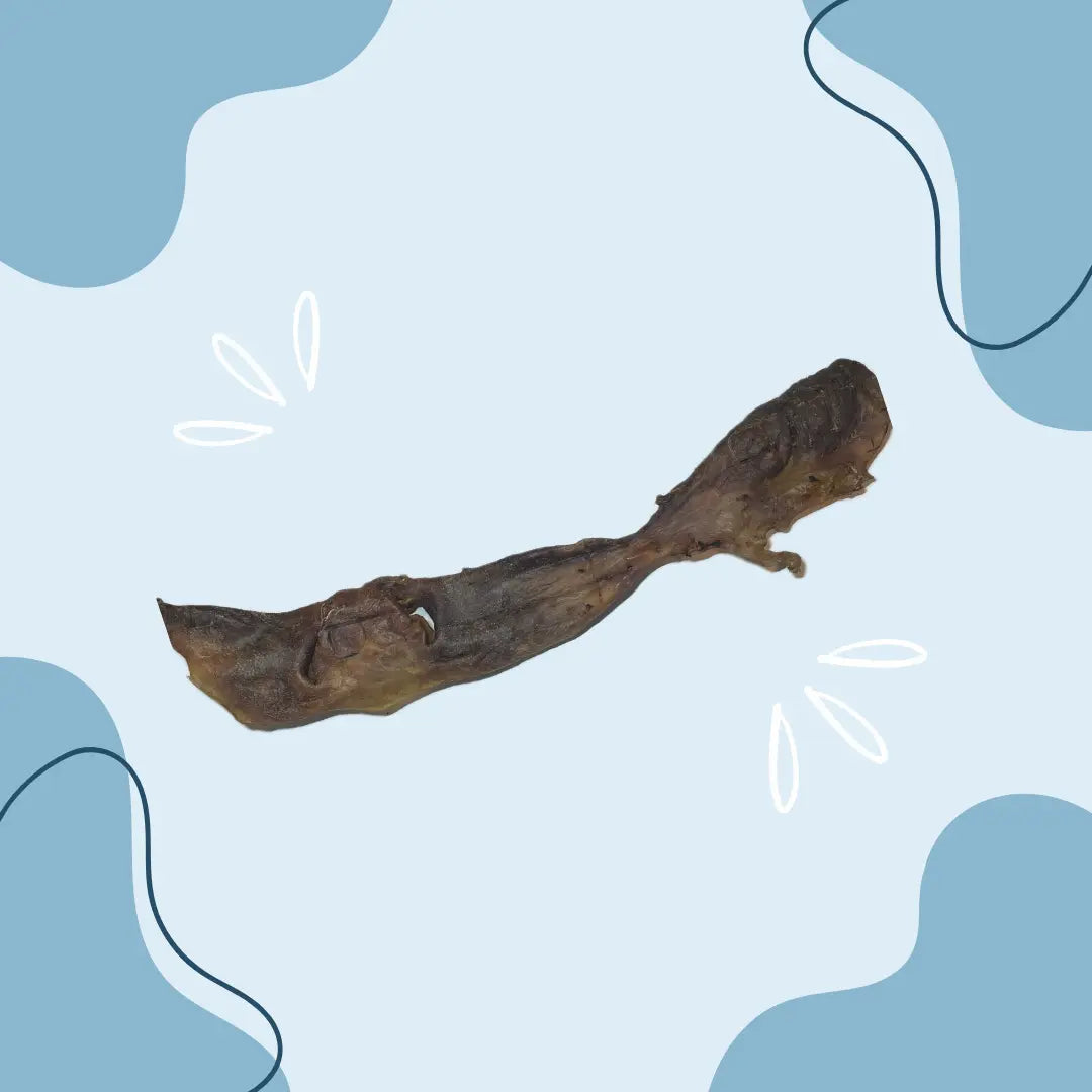 Museau de bœuf 60 à 80 cm - MasticDog