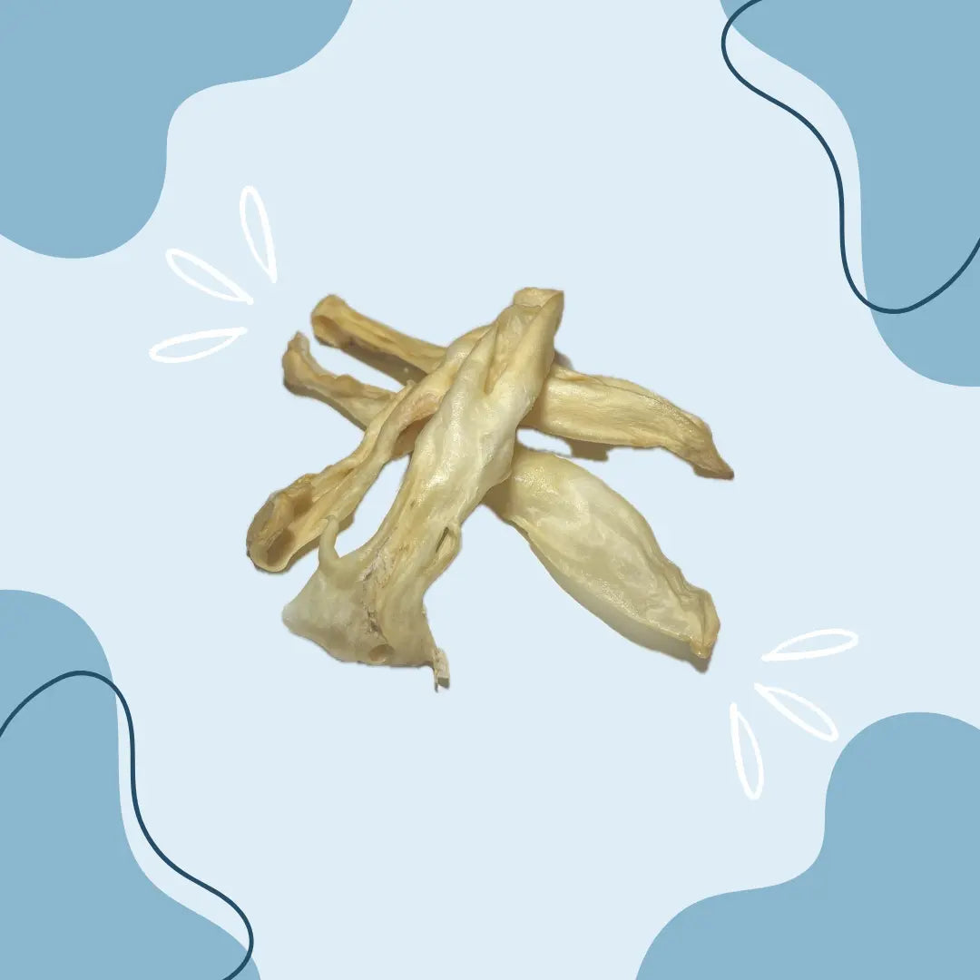 Oreille de lapin - MasticDog