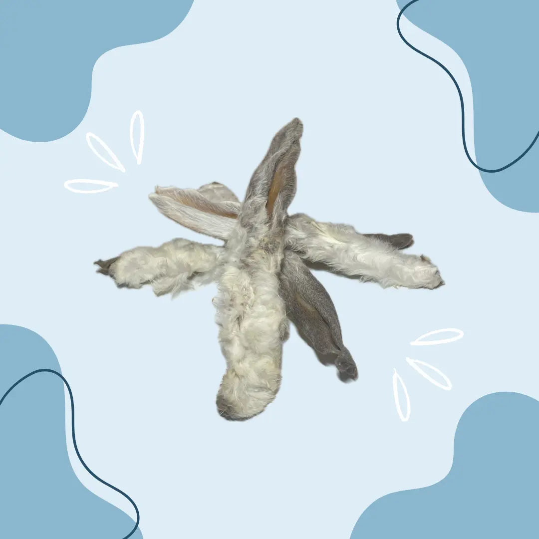 Oreille de lapin avec poils - MasticDog