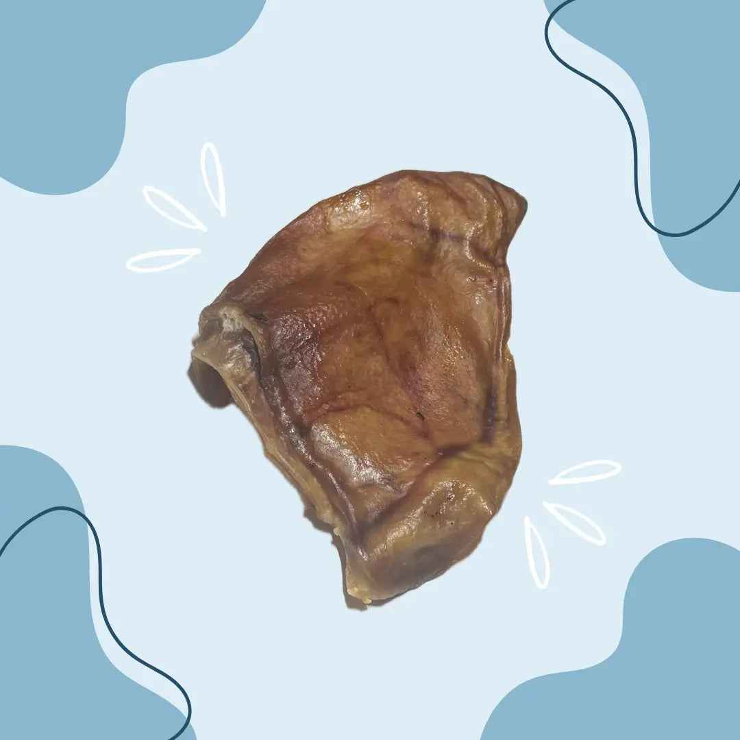Oreille de porc