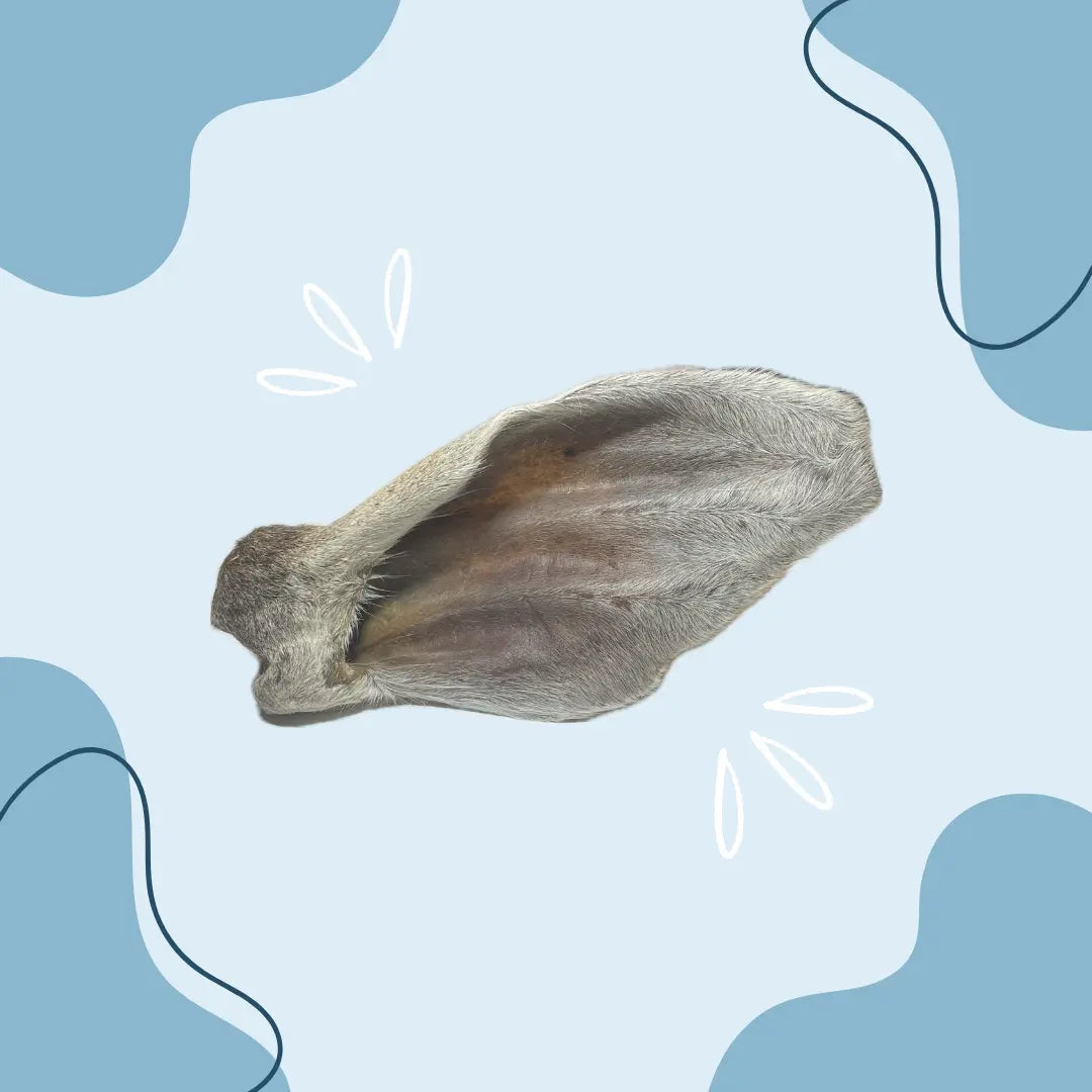 Oreille de veau avec poils - MasticDog