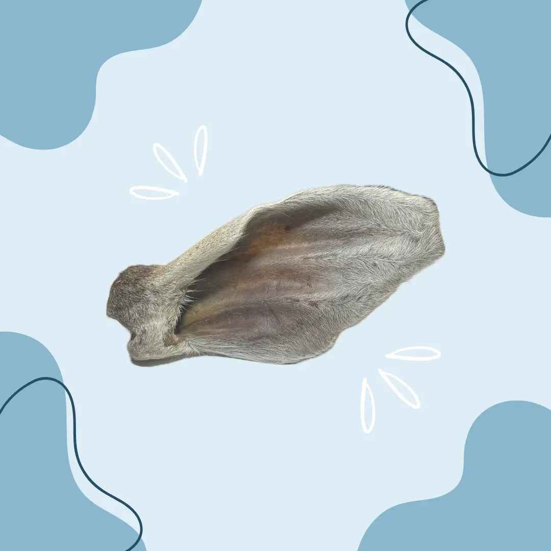 Oreille de veau avec poils