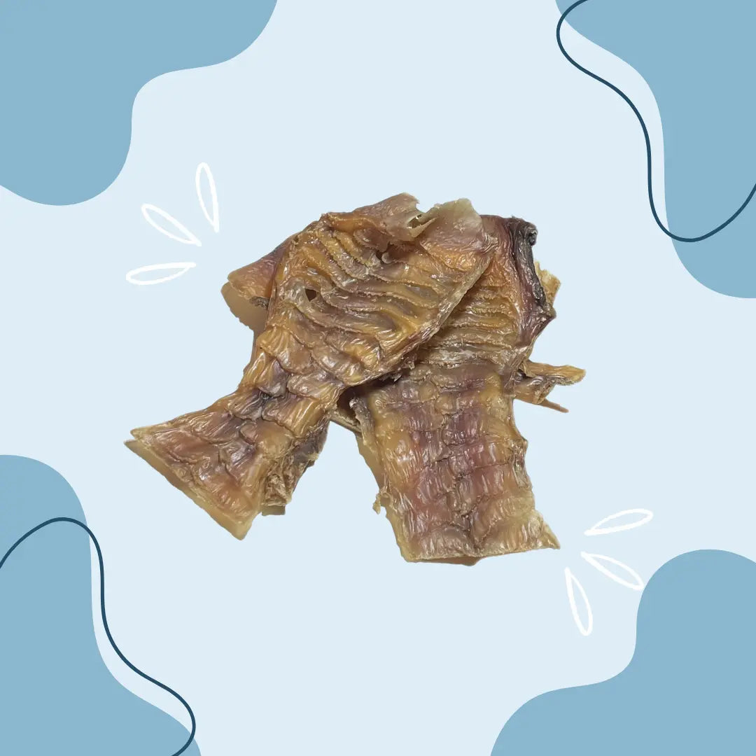 Palais de bœuf - MasticDog