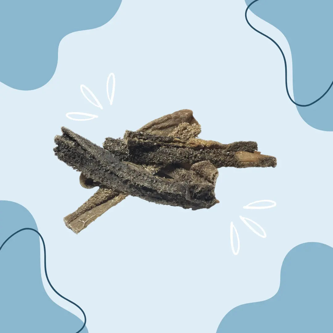 Panse d'agneau - MasticDog