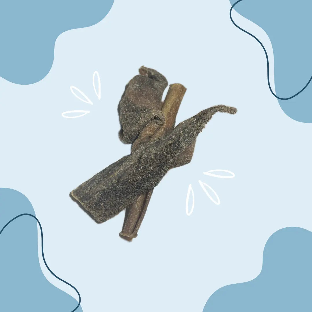 Panse de chameau - MasticDog