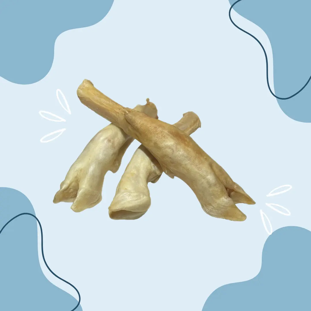 Patte d'agneau - MasticDog