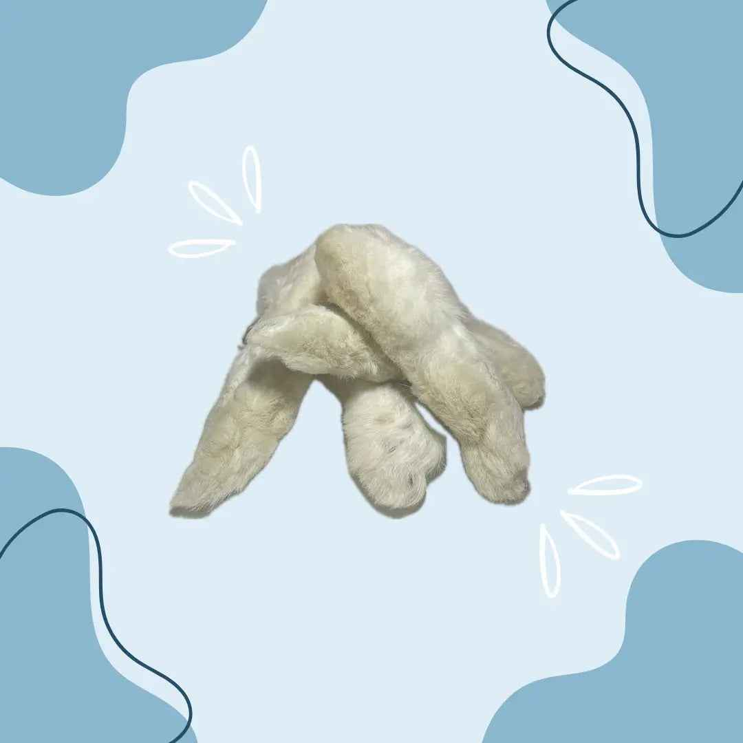 Patte de lapin avec poils