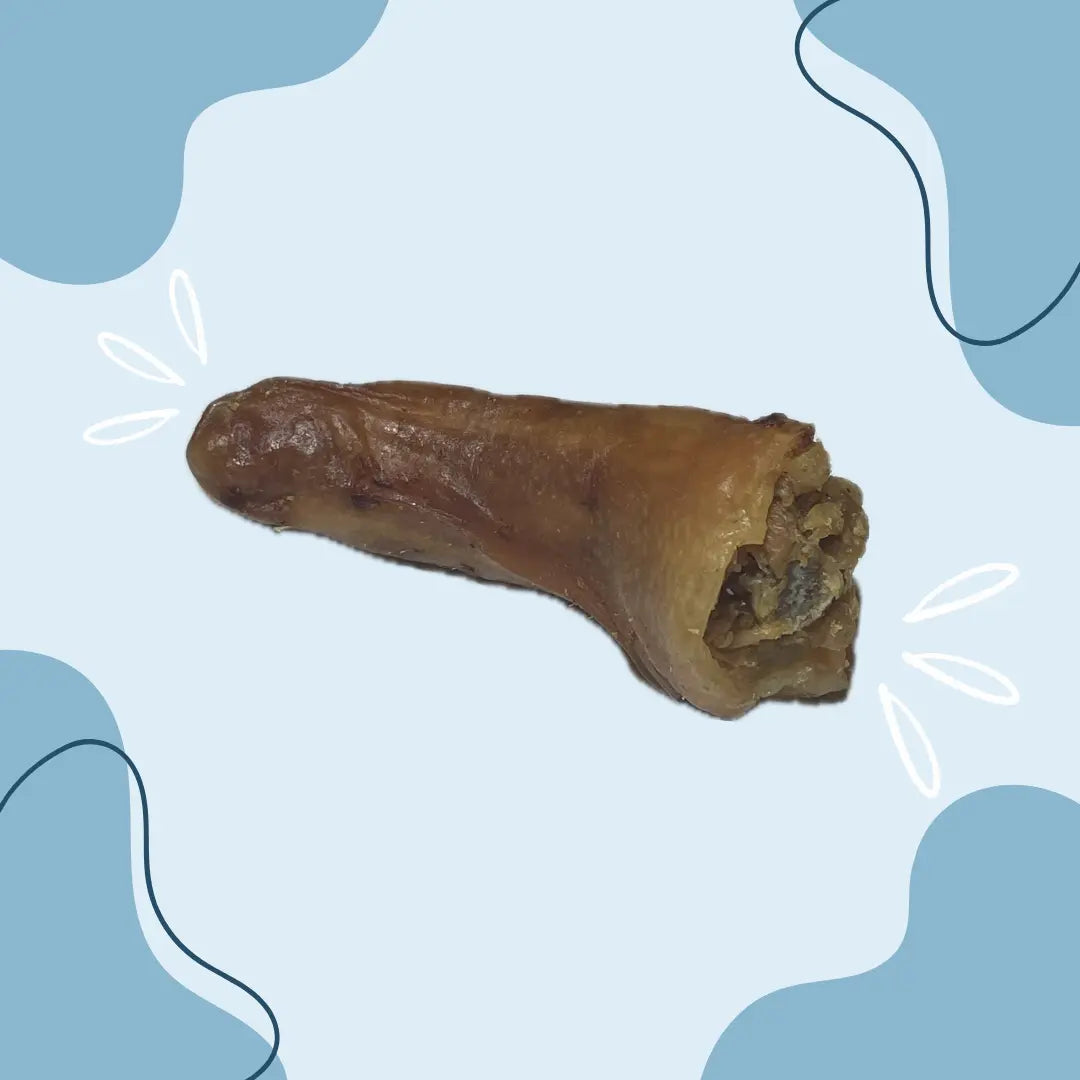 Queue de porc - MasticDog