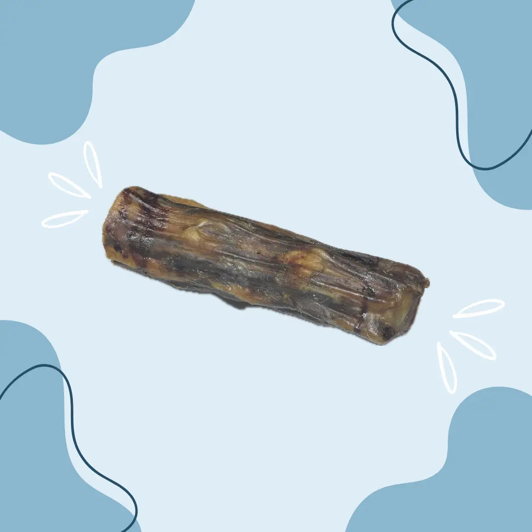 Queue de veau - MasticDog