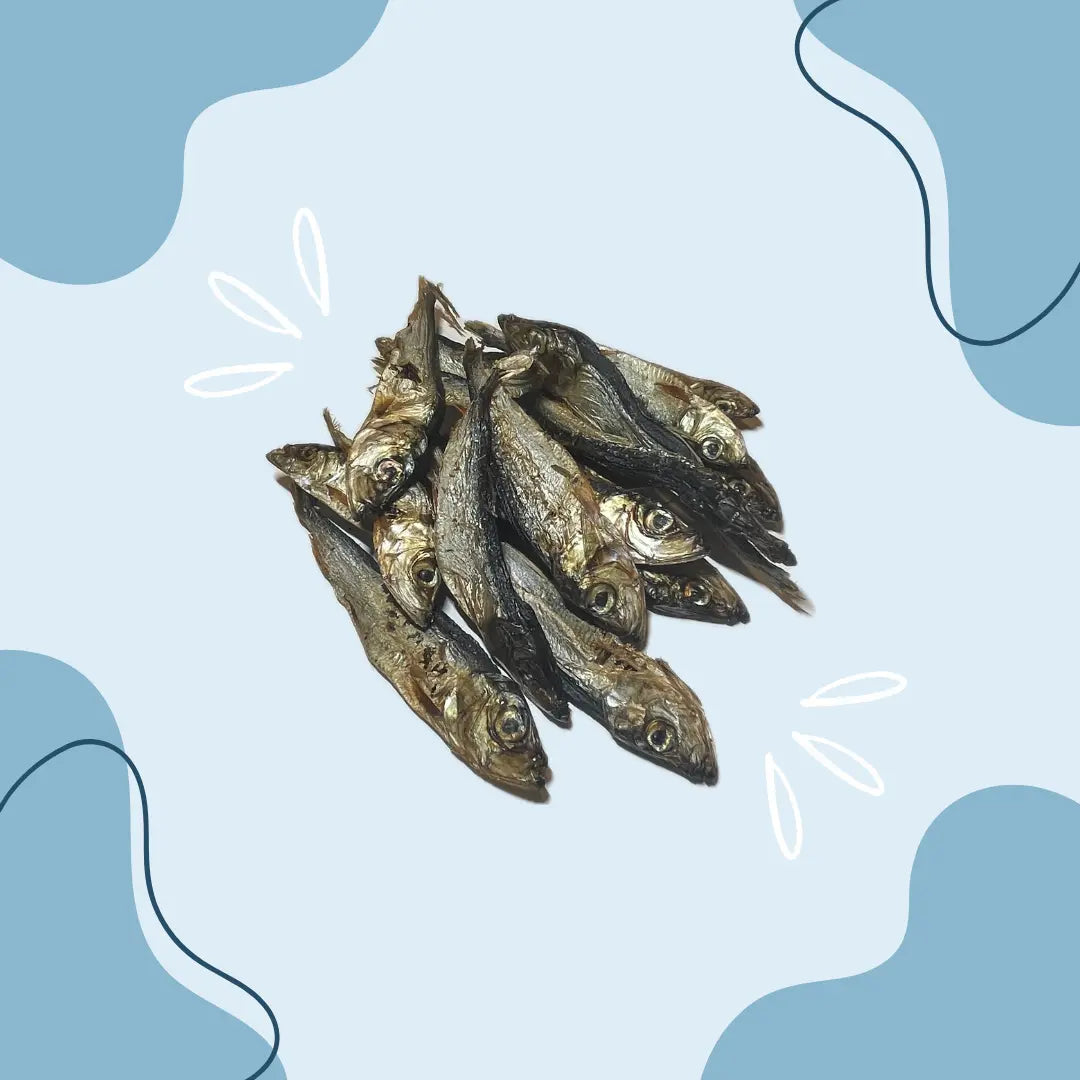 Sprats - MasticDog