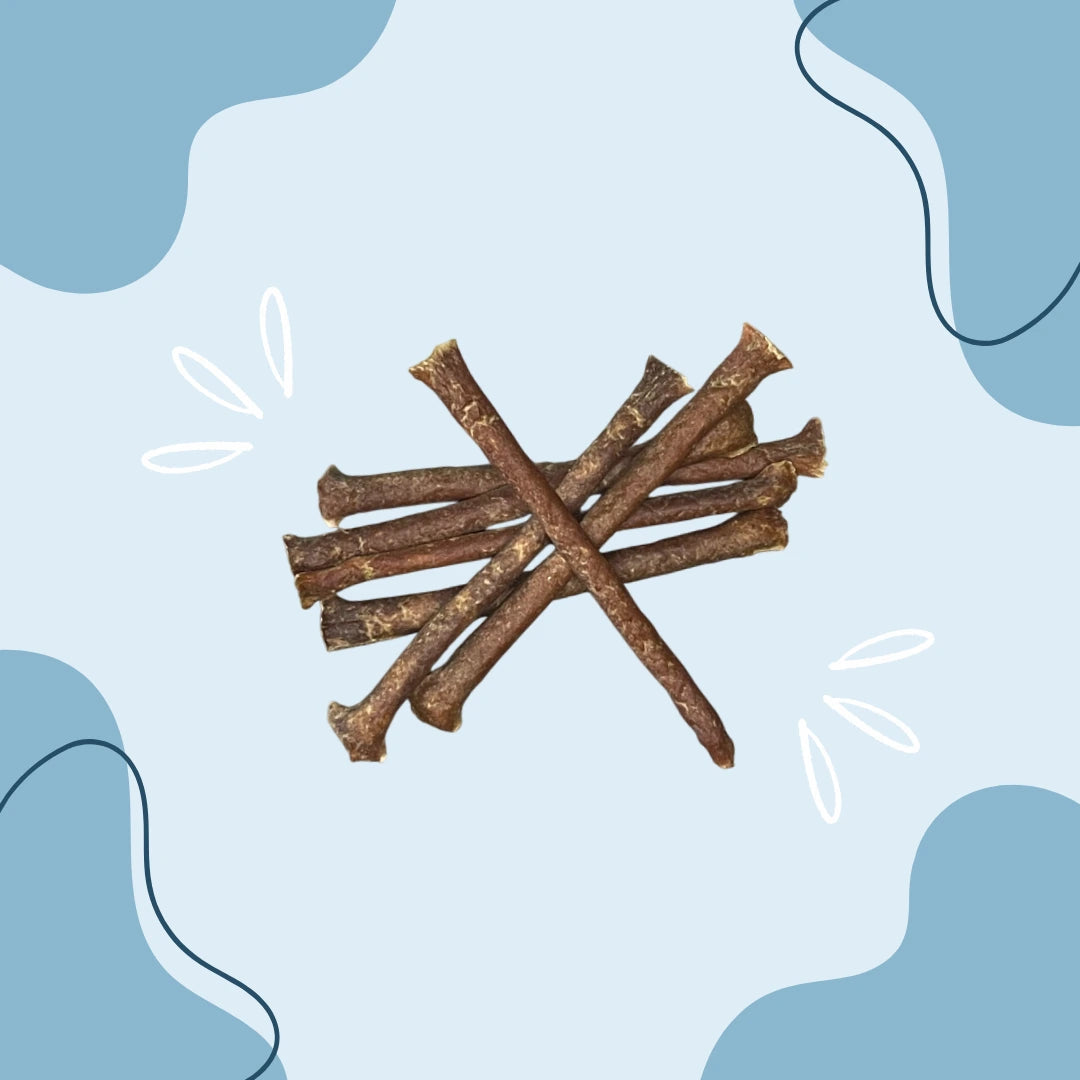 Stick D'agneau MasticDog