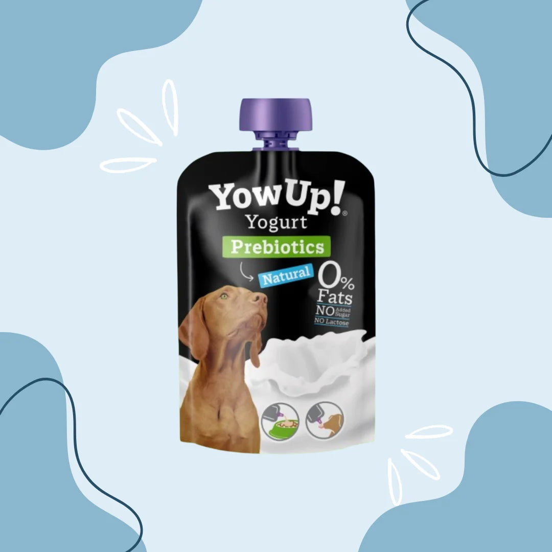 Yowup Yaourt chien prébiotique