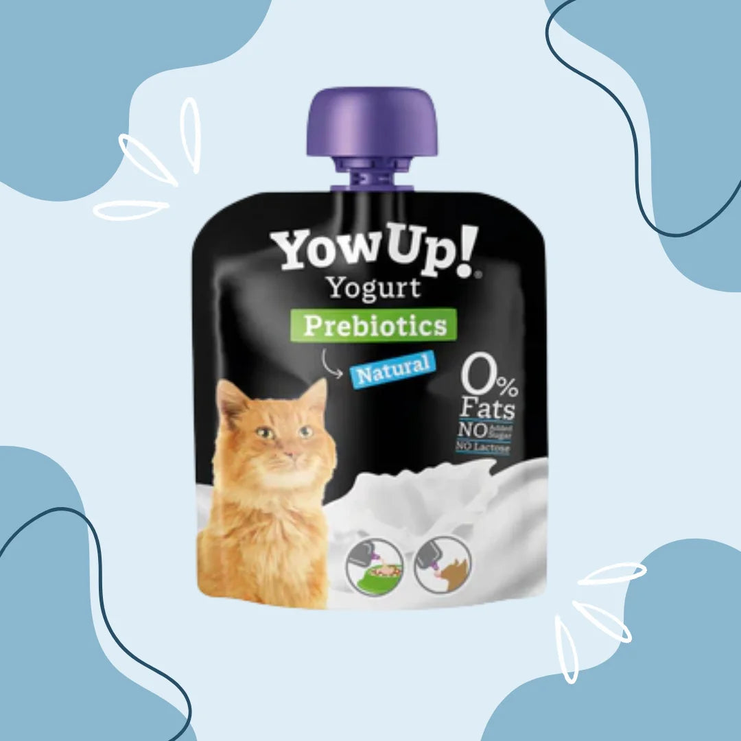 YowUp yaourt pour chat Prébiotique