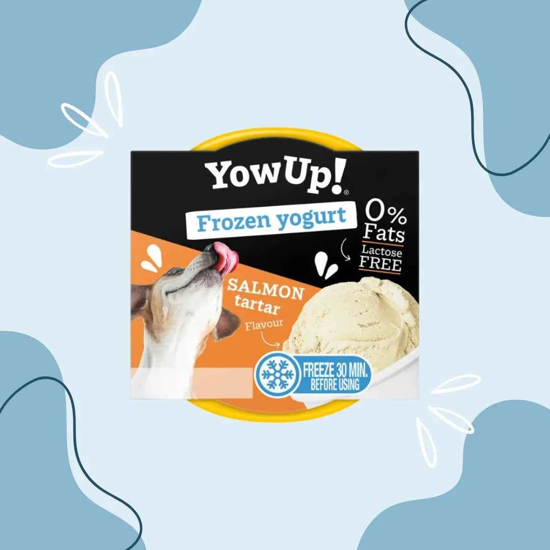 YowUp! Yaourt Glacé Tartare de saumon chien et chat