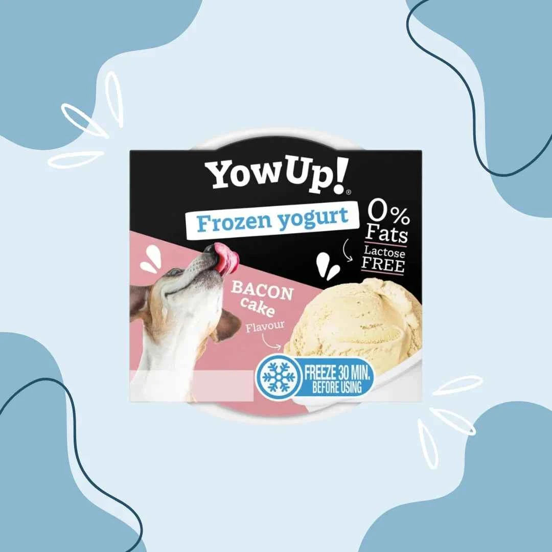 YowUp! Yaourt Glacé Gâteau au Bacon chien et chat