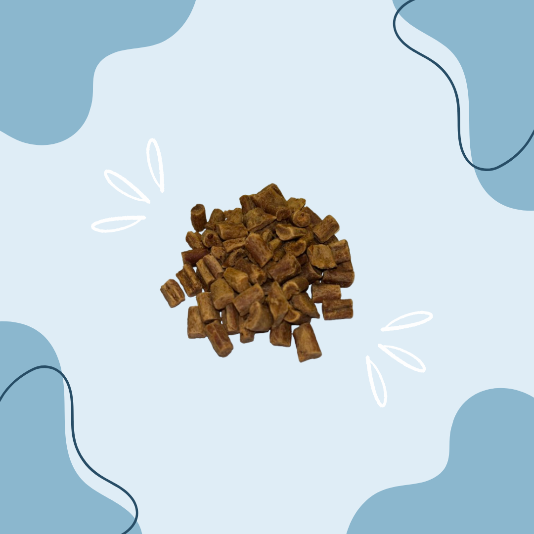 Friandise de Saumon MasticDog