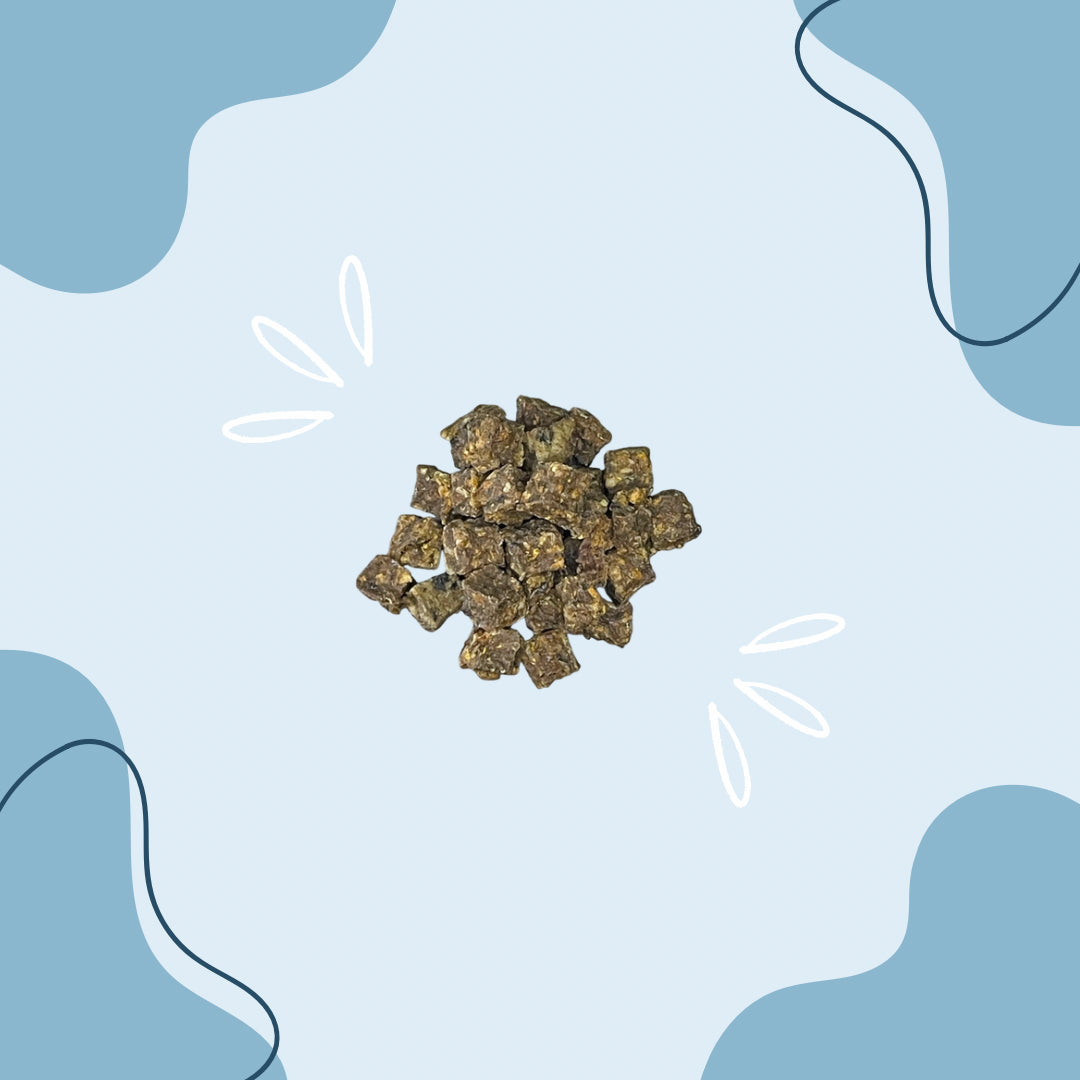 Cube de Saumon MasticDog