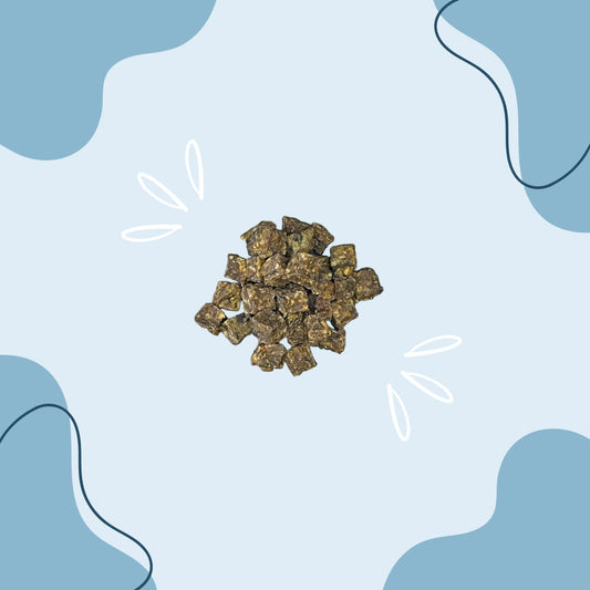 Cube de Saumon MasticDog