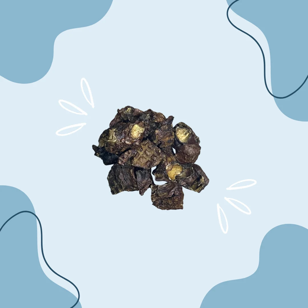 Cube de poumon de bœuf MasticDog