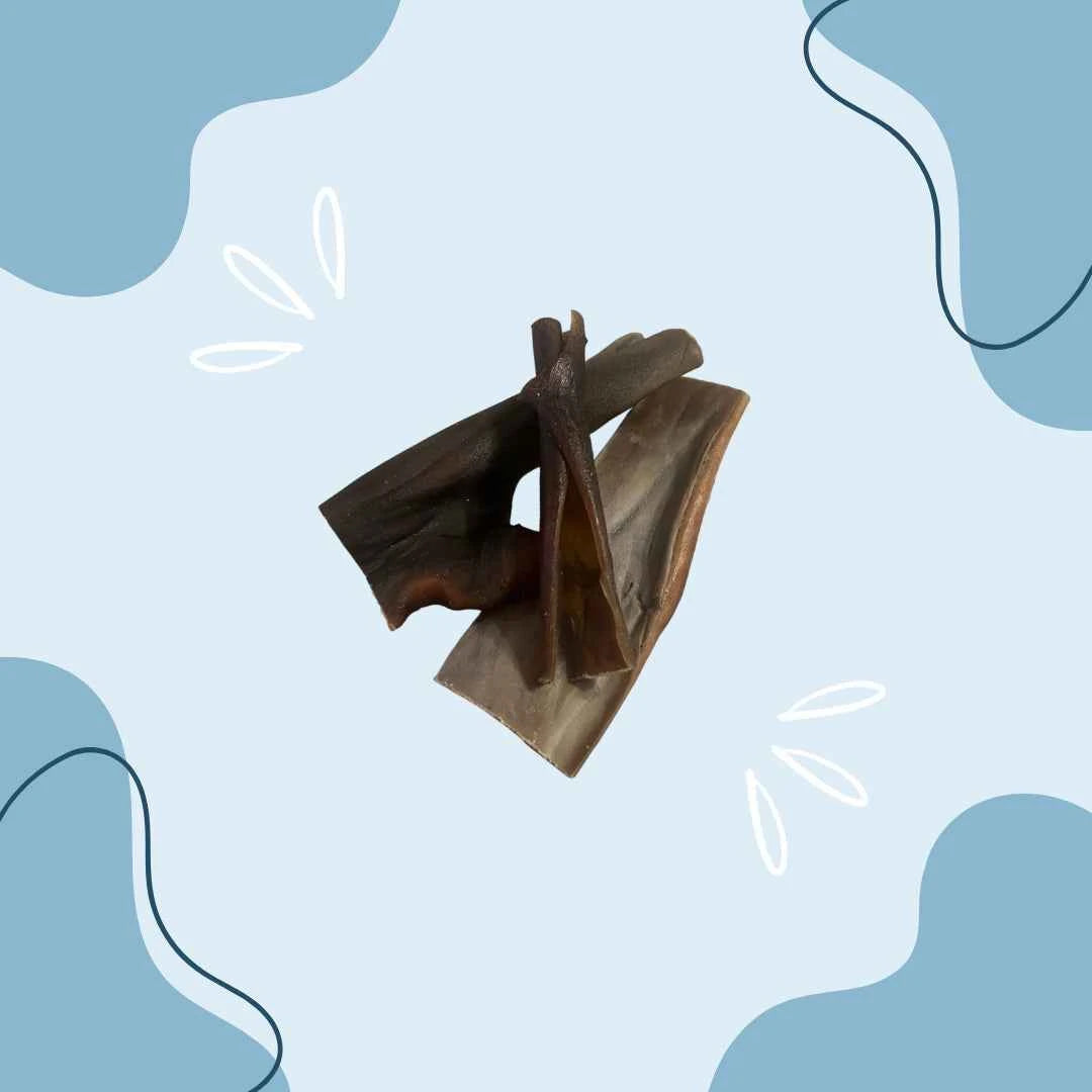 Cuir chevelu de chameau