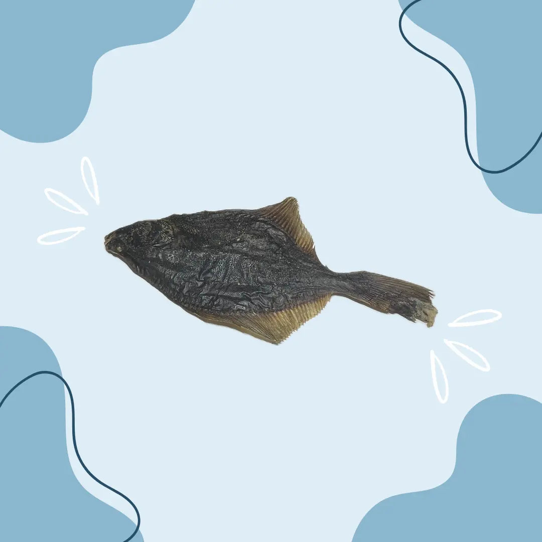 Flet MasticDog