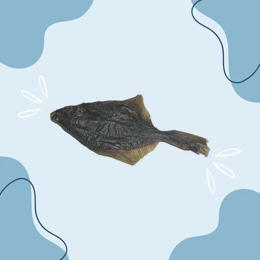 Flet MasticDog