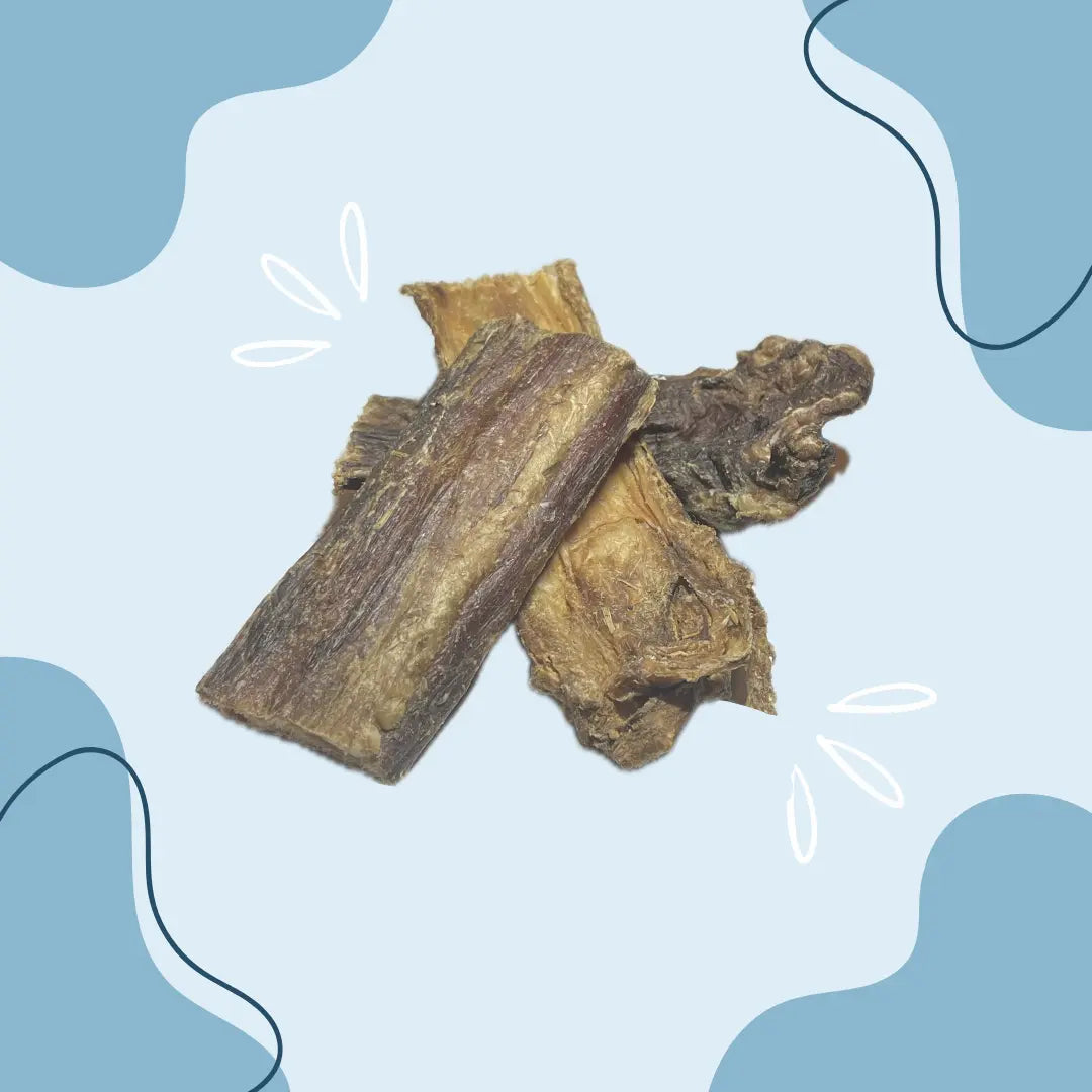 Gorge de bœuf courte MasticDog