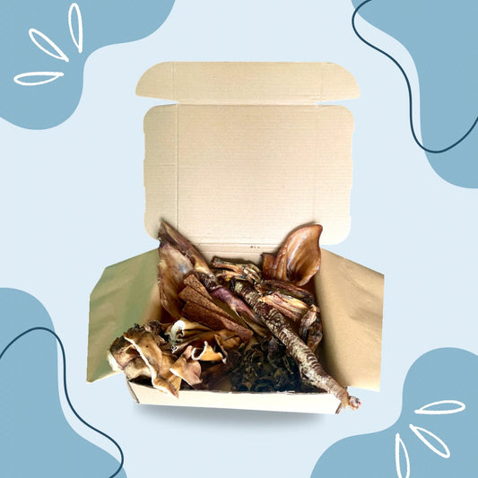 MasticBox - Septembre MasticDog
