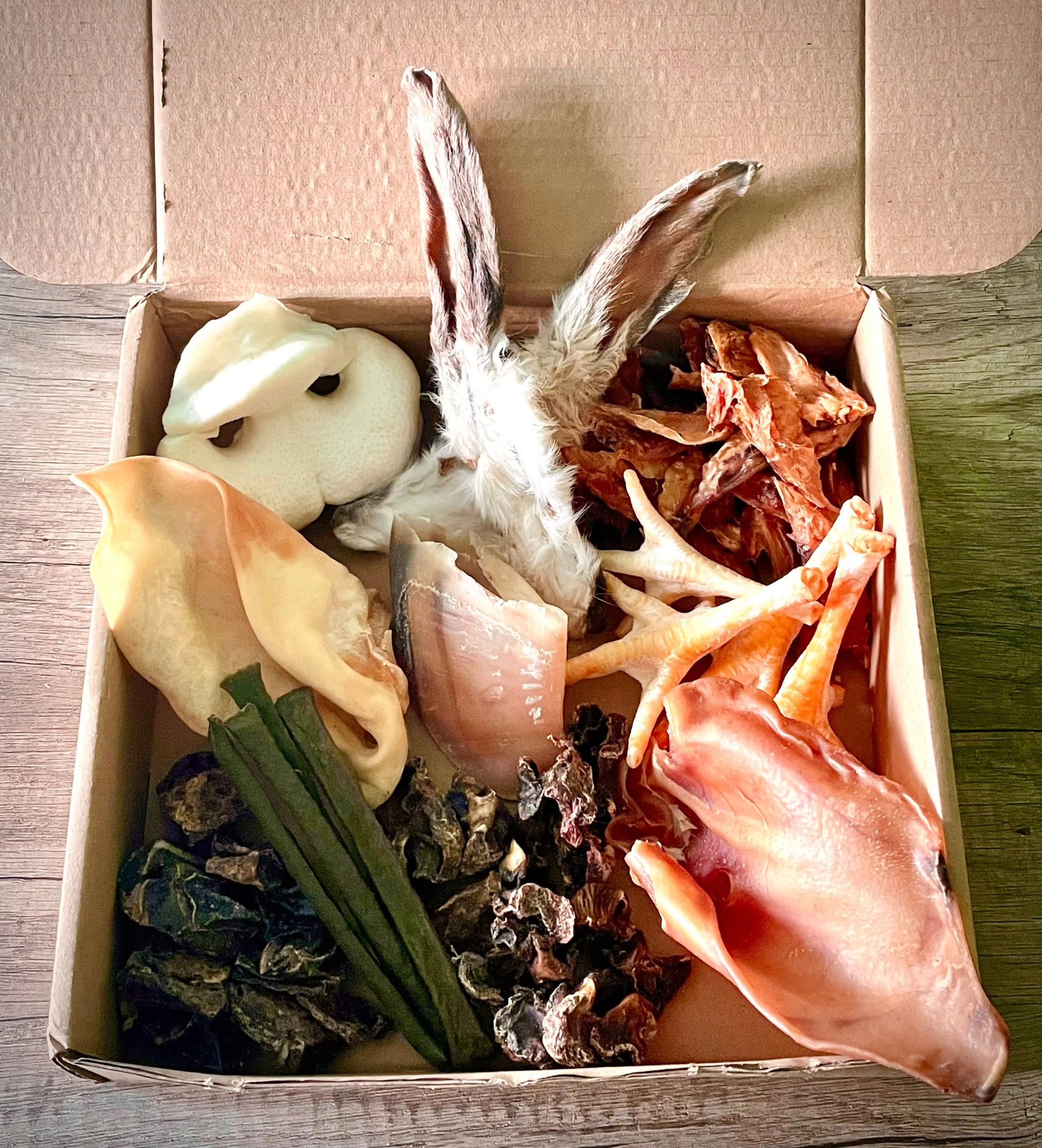 MasticBox chiot - Dès 4 mois MasticDog