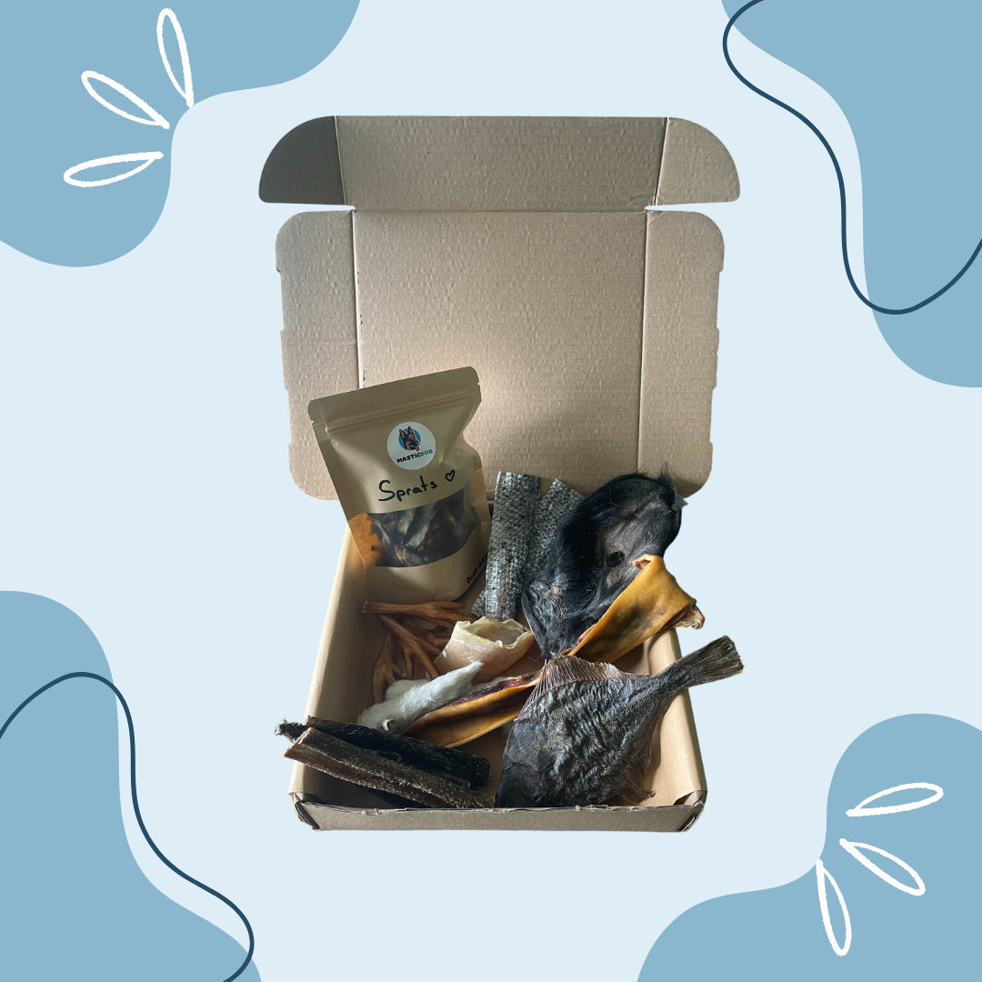 MasticBox - Mai MasticDog