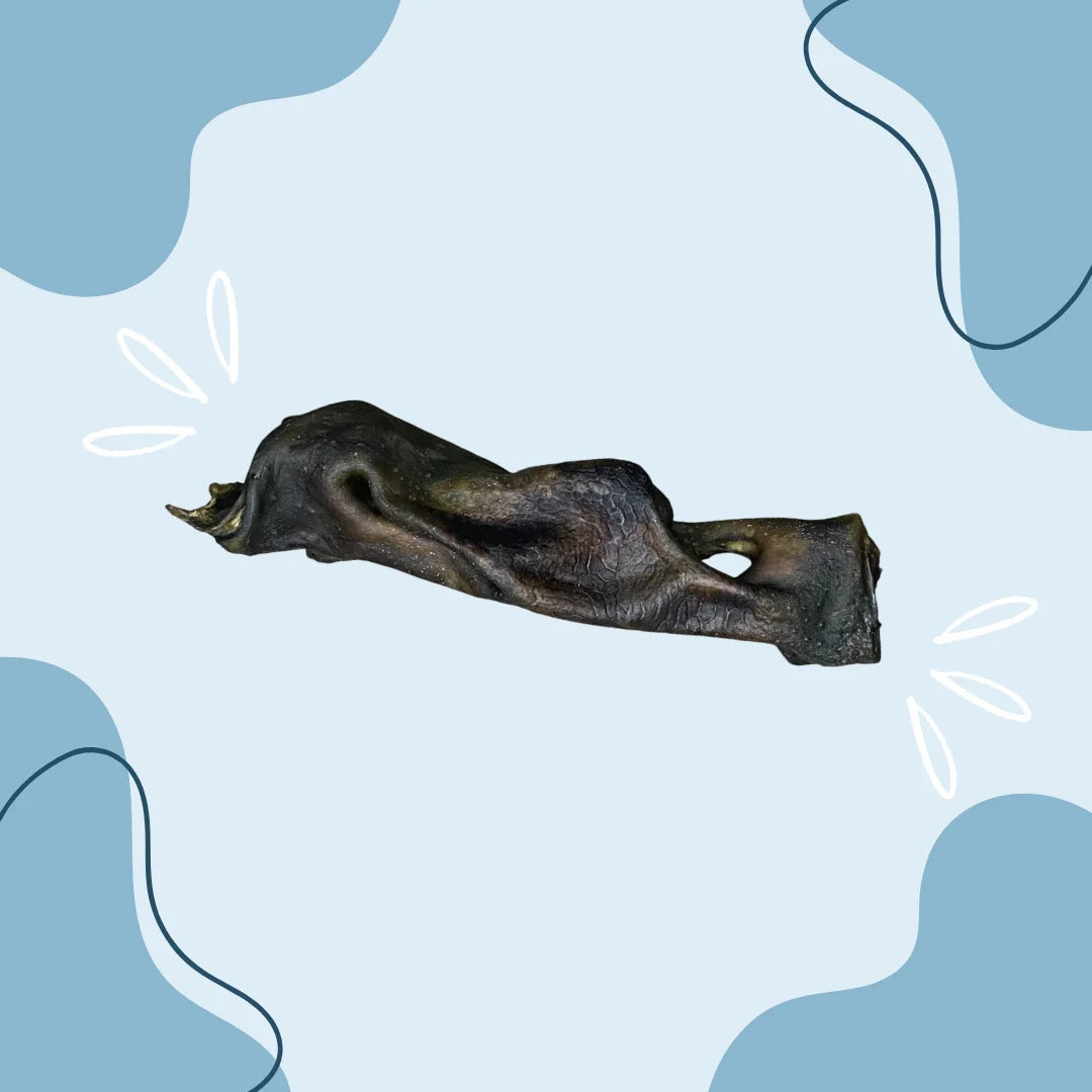 Museau de bœuf MasticDog