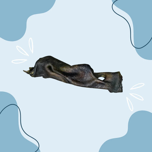 Museau de bœuf MasticDog