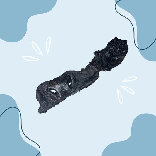 Museau de bœuf avec poils XL MasticDog