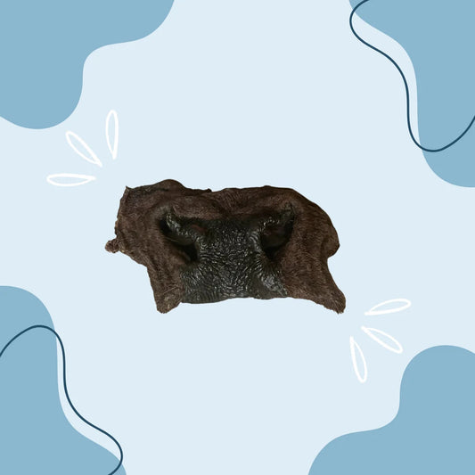 Museau de Bœuf avec poils MasticDog