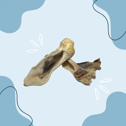 Oreille d'agneau avec poils - MasticDog