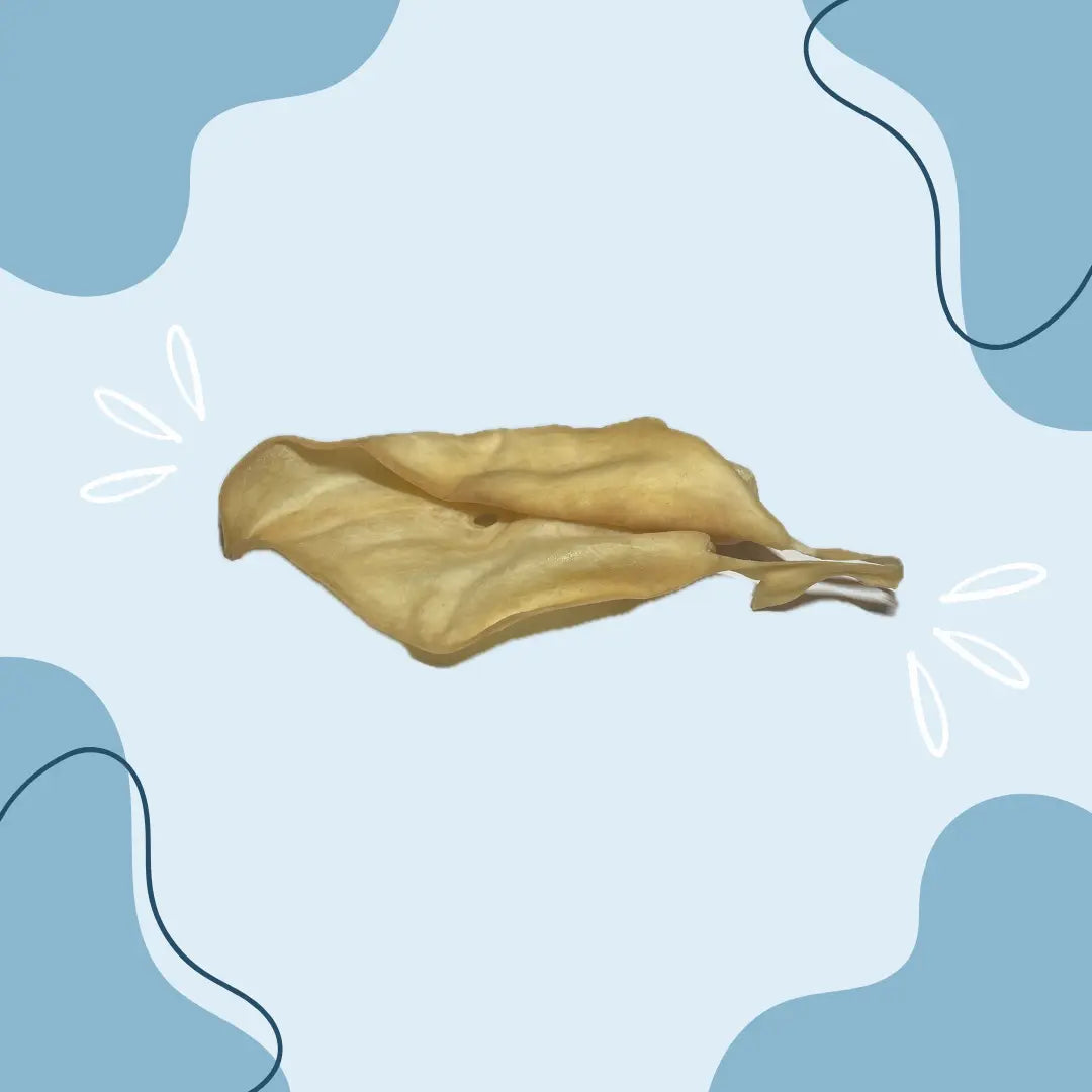 Oreille de bœuf soufflée - MasticDog