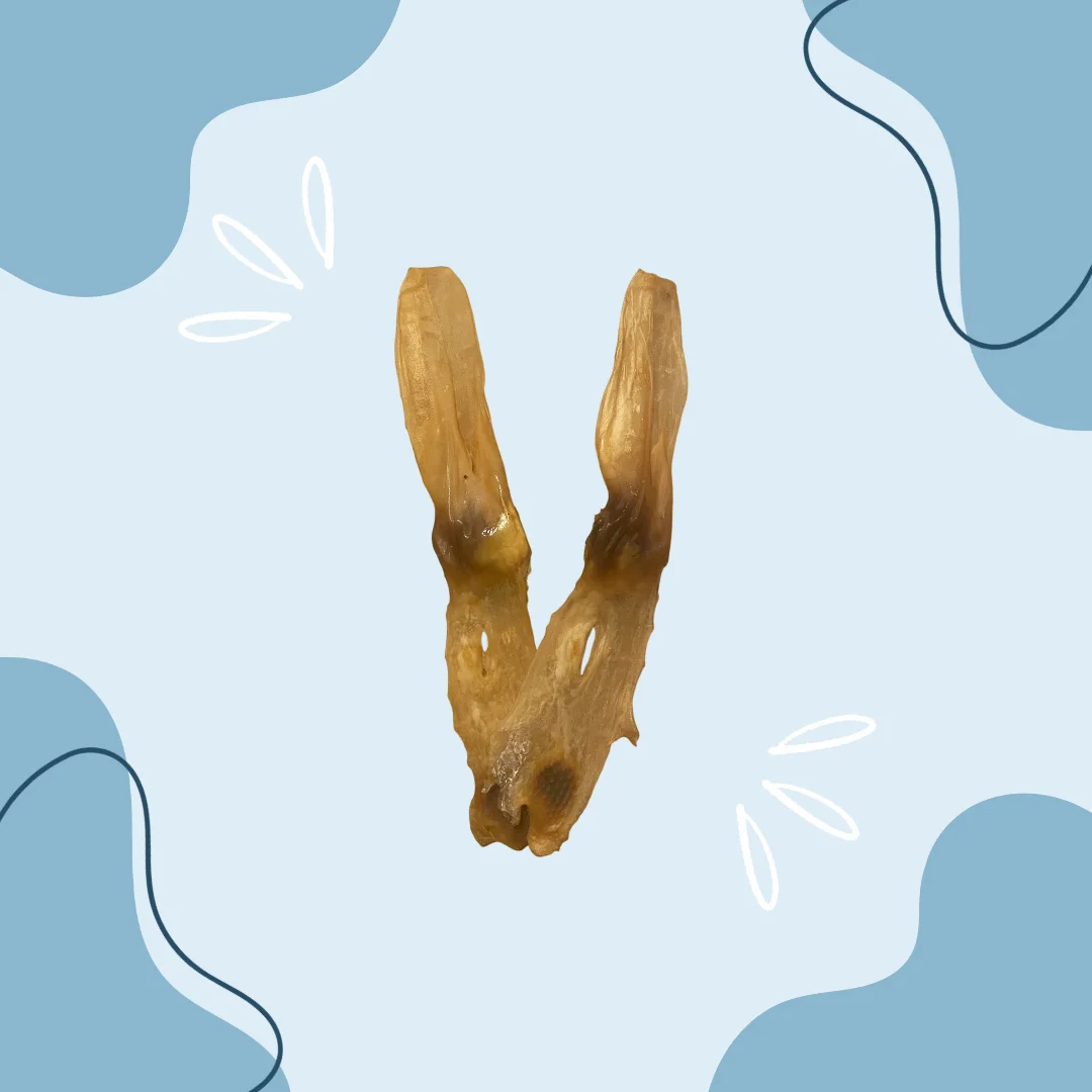 Oreille de lapin MasticDog