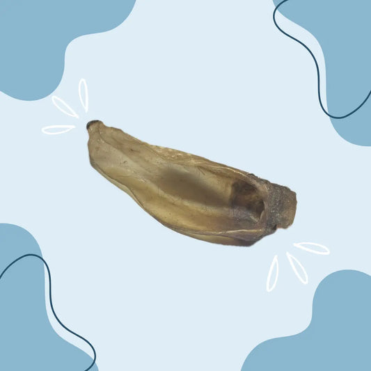 Oreille de veau MasticDog